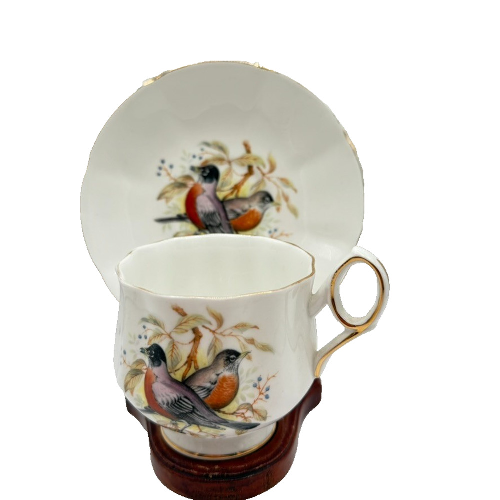 VINTAGE ROYAL DOVER BONE CHINA CUP AND SAUCER Birds Of America